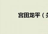 宫田龙平（关于宫田龙平介绍）