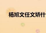 杨旭文任文娇什么关系（杨旭文 任娇）