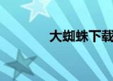 大蜘蛛下载（大蜘蛛绿色版）