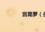 宫毘罗（关于宫毘罗介绍）