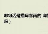 哪句话是描写春雨的 润物细无声（润物细无声是描写春雨的吗）