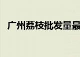 广州荔枝批发量最大市场（广州荔枝批发）