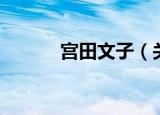 宫田文子（关于宫田文子介绍）