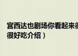 宫西达也剧场你看起来很好吃（关于宫西达也剧场你看起来很好吃介绍）