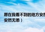 愿在我看不到的地方安然无恙歌词（愿你在我看不到的地方安然无恙）