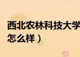 西北农林科技大学怎么样（西北农林科技大学怎么样）