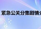 紧急公关分集剧情介绍（紧急公关剧情介绍）