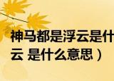 神马都是浮云是什么意思网络语（神马都是浮云 是什么意思）