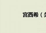 宫西希（关于宫西希介绍）