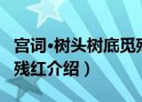 宫词·树头树底觅残红（关于宫词·树头树底觅残红介绍）