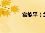 宫能平（关于宫能平介绍）