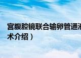 宫腹腔镜联合输卵管通液术（关于宫腹腔镜联合输卵管通液术介绍）