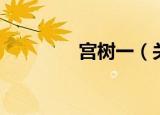 宫树一（关于宫树一介绍）