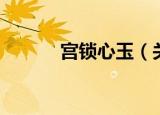 宫锁心玉（关于宫锁心玉介绍）