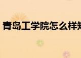 青岛工学院怎么样知乎（青岛工学院怎么样）