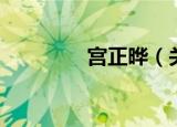 宫正晔（关于宫正晔介绍）