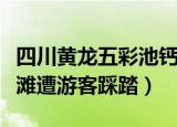四川黄龙五彩池钙化滩遭人踩踏（上万年钙华滩遭游客踩踏）