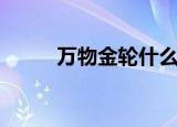 万物金轮什么梗（金轮是什么梗）