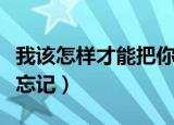 我该怎样才能把你忘记的文案（我该如何把你忘记）