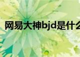 网易大神bjd是什么意思（BJD是什么意思）