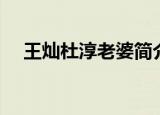 王灿杜淳老婆简介（王灿杜淳老婆简介）