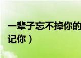 一辈子忘不掉你的痛（一秒钟爱上你一辈子忘记你）