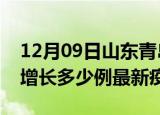 12月09日山东青岛疫情最新动态及青岛今天增长多少例最新疫情