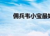 佣兵韦小宝最好属性（佣兵韦小宝）