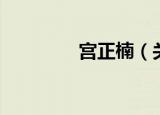宫正楠（关于宫正楠介绍）
