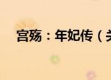 宫殇：年妃传（关于宫殇：年妃传介绍）