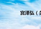 宫泽弘（关于宫泽弘介绍）