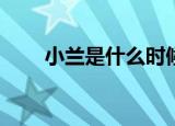 小兰是什么时候知道柯南是新一的？