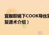宫腹腔镜下COOK导丝复通术（关于宫腹腔镜下COOK导丝复通术介绍）