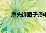 急先锋甄子丹电影（急先锋 甄子丹）