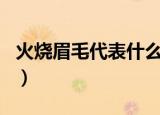 火烧眉毛代表什么生肖（火烧眉毛是什么生肖）