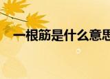 一根筋是什么意思?（一根筋是什么意思）