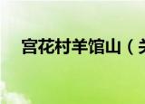 宫花村羊馆山（关于宫花村羊馆山介绍）