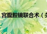 宫腹腔镜联合术（关于宫腹腔镜联合术介绍）