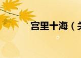 宫里十海（关于宫里十海介绍）
