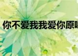 你不爱我我爱你原唱（怎么说我不爱你原唱）