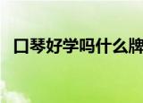 口琴好学吗什么牌子比较好（口琴好学吗）