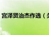 宫泽贤治杰作选（关于宫泽贤治杰作选介绍）