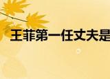 王菲第一任丈夫是哪位（王菲第一任丈夫）
