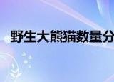 野生大熊猫数量分布图（野生大熊猫分布）