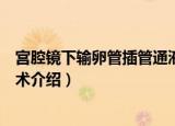 宫腔镜下输卵管插管通液术（关于宫腔镜下输卵管插管通液术介绍）