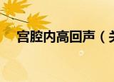 宫腔内高回声（关于宫腔内高回声介绍）