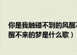 你是我触碰不到的风醒不来的梦mv（你是我触碰不到的风醒不来的梦是什么歌）