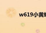 w619小黄蜂（w619小黄蜂）
