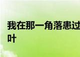我在那一角落患过伤风歌词版春天的风秋天的叶