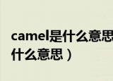camel是什么意思中文翻译怎么读（camel是什么意思）